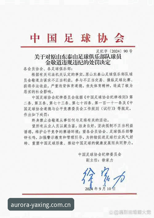 终身禁足17人到底释放了什么信号？新手用亚星体育平台梳理足协第三批罚单的入门步骤